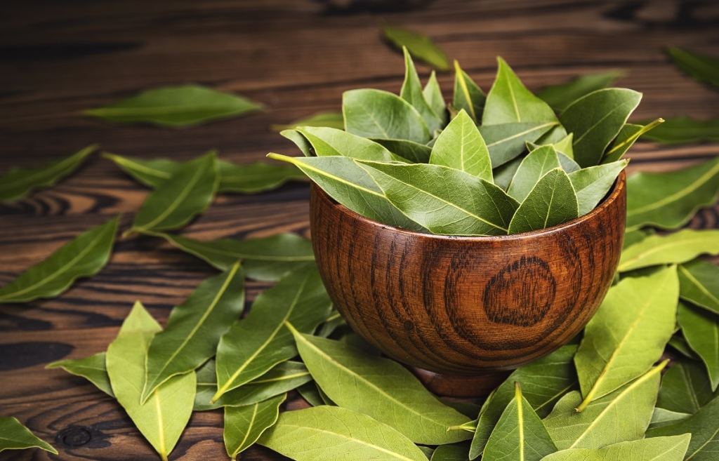 A wooden bowl filled with fresh bay leaves surrounded by additional bay leaves on a dark wooden surface.