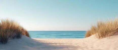 A tranquil beach scene with gentle waves lapping at the shore, framed by tall grass on either side.